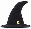 Hogwart Student Hat Large by Harry Potter